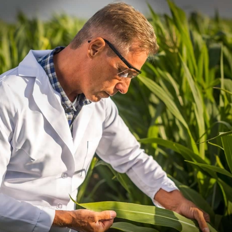 1210- empregabilidade-o-engenheiro-agronomo-e-sua-atuacao